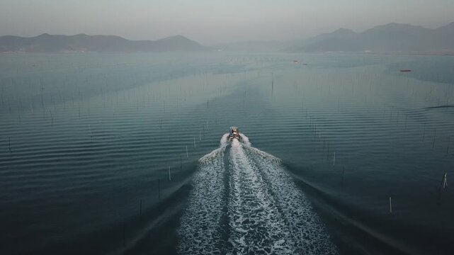Korea seaweed origin sea port laver harvest production work harvesting operation fishing village ocean aquaculture farm seaweed raw material fishery industry fishing aquaculture fishermen marine 