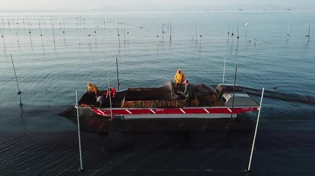 Korea seaweed origin sea port laver harvest production work harvesting operation fishing village ocean aquaculture farm seaweed raw material fishery industry fishing aquaculture fishermen marine 