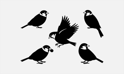 Fototapeta premium Vector set of sparrow silhouettes. Isolated cut out illustrations