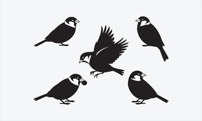Fototapeta premium Vector set of sparrow silhouettes. Isolated cut out illustrations