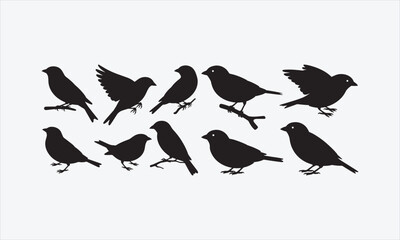 Fototapeta premium Vector set of sparrow silhouettes. Isolated cut out illustrations
