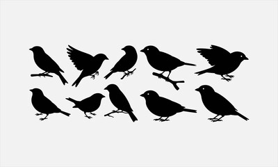Fototapeta premium Vector set of sparrow silhouettes. Isolated cut out illustrations
