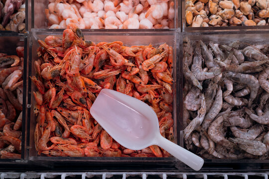 Variety of frozen seafood at the supermarket counter