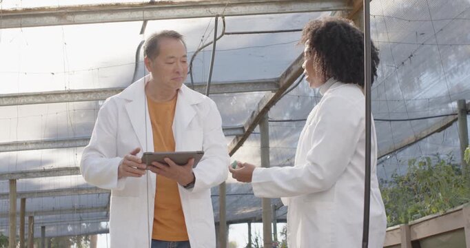 Diverse coworkers wearing lab coats offering sample, checking tablet, confirming data in greenhouse