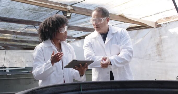 Diverse team man pointing at tank, woman turning tablet tapping screen confirming readings in shed