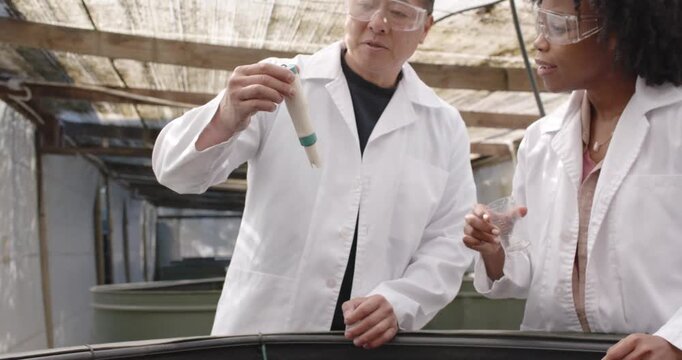 Lab team senior Asian and African female dipping probe at tank edge, pouring sample checking data