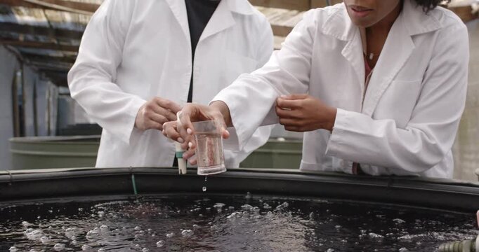 Senior Asian and female sampling bubbling tank in lab with pipette and glass, inspecting clarity