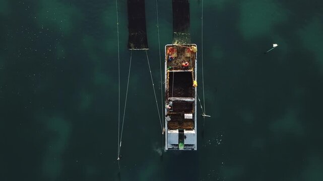 Korea seaweed origin sea port laver harvest production work harvesting operation fishing village ocean aquaculture farm seaweed raw material fishery industry fishing aquaculture fishermen marine 