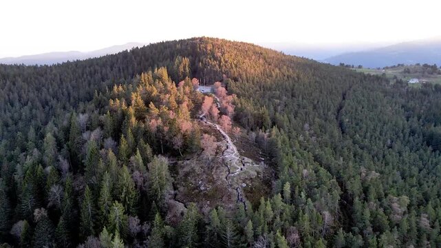 Aerial drone view of a forested hilltop with golden larches and a rocky outcrop glowing at sunset in the Vosges mountains Alsace. Warm autumn woodland and scenic golden hour nature.