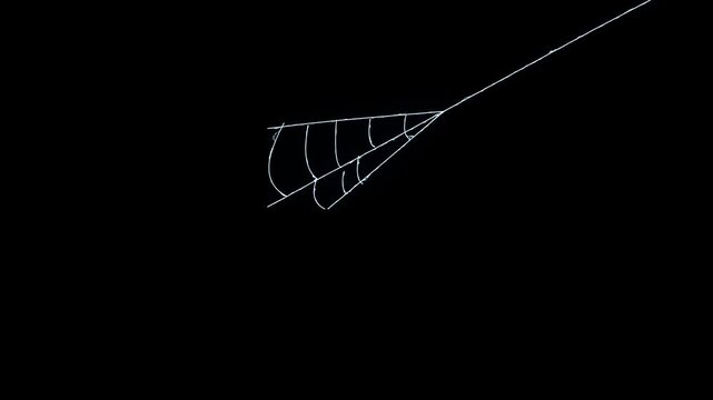 Halloween spider web, realistic cobweb expansion animation, detailed silk thread motion, spooky horror overlay effect, black background, seamless looping, ultra hd 4k video asset