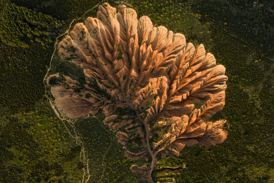 Aerial spring badlands landscape in magical golden light
