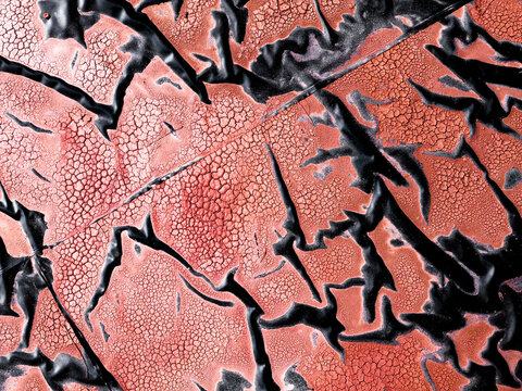Abstract fine art texture with magical water crackle pattern