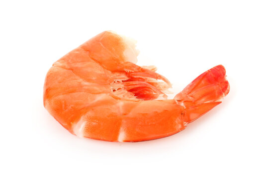 One delicious cooked shrimp isolated on white
