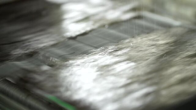 Korea traditional seaweed laver snack production processing food manufacturing line dried k-food superfood healthy sea product seafood marine industry aquaculture roasted savory seasoned crispy 