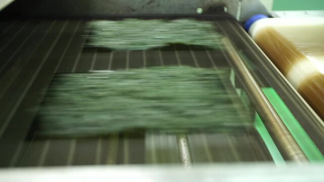 Korea traditional seaweed laver snack production processing food manufacturing line dried k-food superfood healthy sea product seafood marine industry aquaculture roasted savory seasoned crispy 