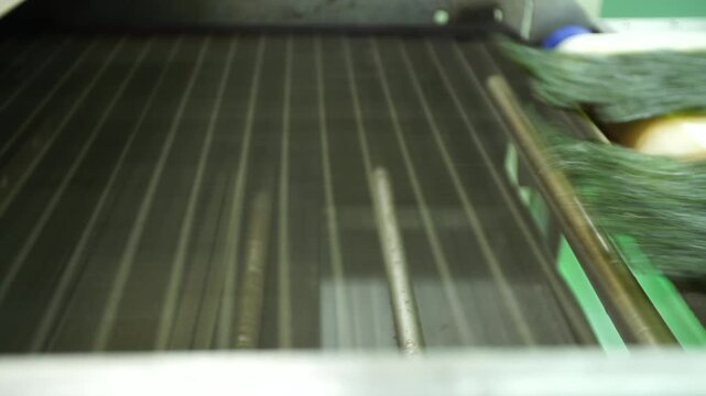 Korea traditional seaweed laver snack production processing food manufacturing line dried k-food superfood healthy sea product seafood marine industry aquaculture roasted savory seasoned crispy 