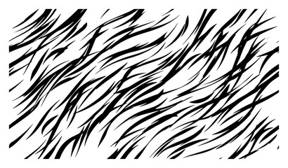 Tiger stripes pattern with black organic wavy lines on white background © Cristiano