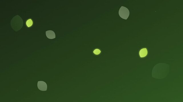 calm floating leaves nature abstract green palette