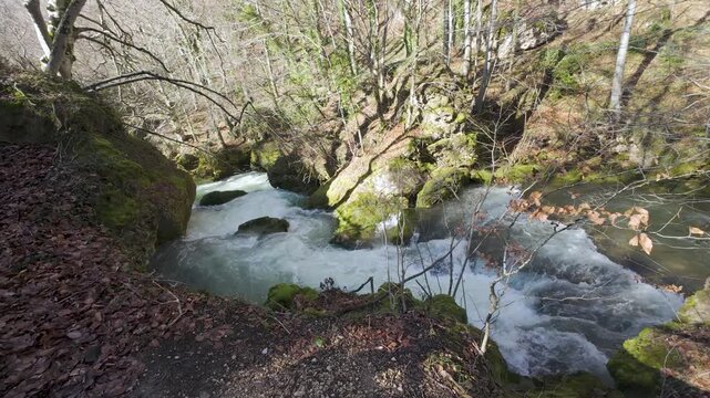 Mountain river flowing through a rocky forest canyon