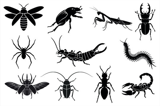 Insects Silhouette Vector Set