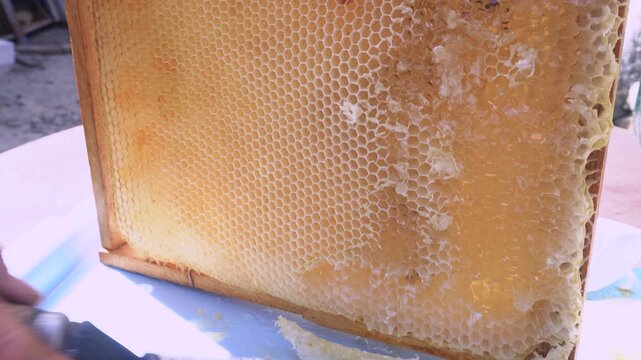A frame with honey in the apiary, along which freshly picked fragrant honey