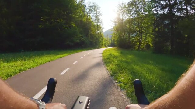 POV of cyclist riding on asphalt bike path at sunset in summer. Slovenia. First person view of male hands on bicycle handlebar cycling on road in green fields, forest. Active sport outdoor lifestyle
