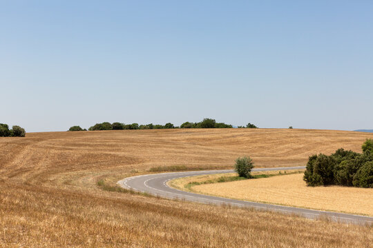 Route avec un virage au milieu de grands champs de bl&eacute; coup&eacute;, arbres verts et grand ciel bleu en arri&egrave;re-plan