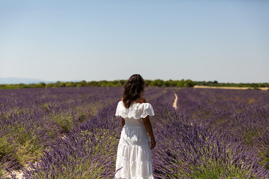 Femme dans un champ de lavandes violettes en fleurs, vue de dos, elle porte une robe blanche et a de longs cheveux bruns, arbres verts et ciel bleu en arri&egrave;re-plan
