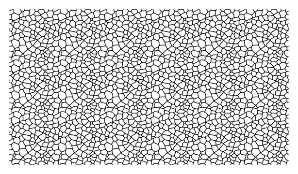 Mosaic cobblestone cell shapes abstract pattern in black and white style