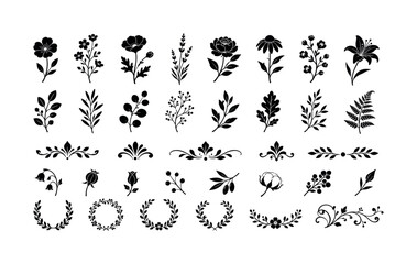 Fototapeta premium Collection of black botanical ornaments and floral elements for design