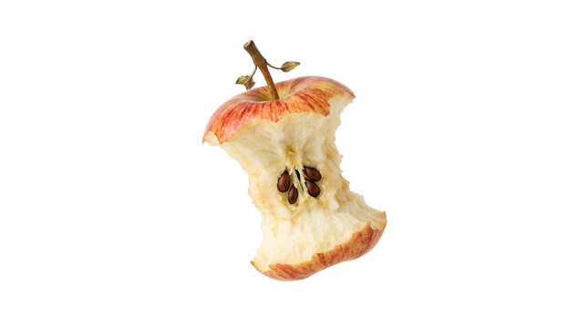 Fresh Red and Yellow Apple Core Showing Seeds and Stem Isolated on Transparent White Background Healthy Diet Concept
