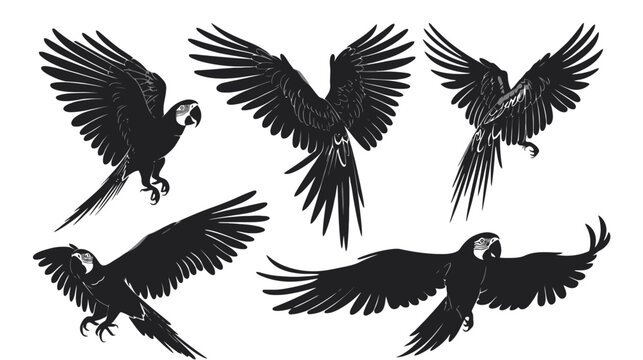 Vintage parrot silhouette collection, hand drawn flying macaw bird illustrations, black tropical parrot vector set for nature branding and tattoo design