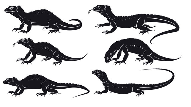 Komodo dragon silhouette vector set, black lizard reptile icons in various poses, 6 monitor lizard illustrations for wildlife education and logo design