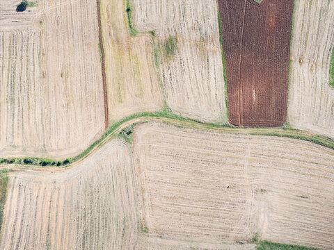 Aerial view of farmland patterns near Guadalajara, Spain