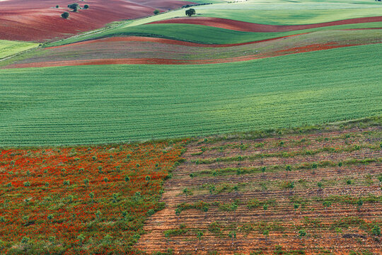 Rolling farmland and patchwork fields near Guadalajara