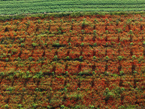Aerial view of textured farmland near Guadalajara, Spain