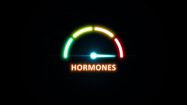 Hormones normal, text, word level concept.Suitable for balanced hormone levels, steady endocrine, . 4K video. on transparent background.
