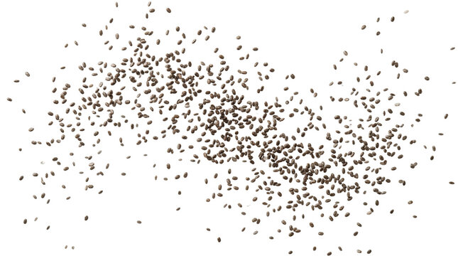 Organic healthy chia seeds falling and flying in motion isolated on white background for nutrition and superfood concept