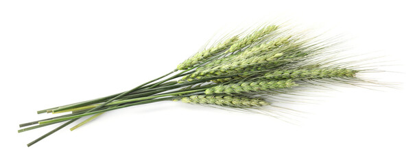 Fototapeta premium Bunch of green wheat spikes isolated on white