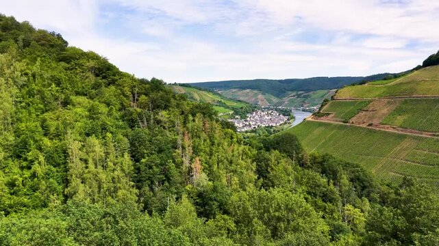 Drohnenvideo der Moselschleife bei Zell mit steilen Weinbergen, charakteristischen Schieferd&auml;chern, Br&uuml;cken und dem Flussverlauf an einem sonnigen Sommertag in Rheinland-Pfalz.