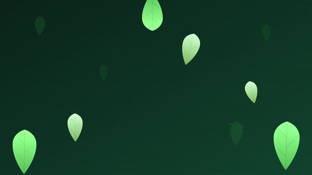 eco friendly organic green leaf pattern looping animation
