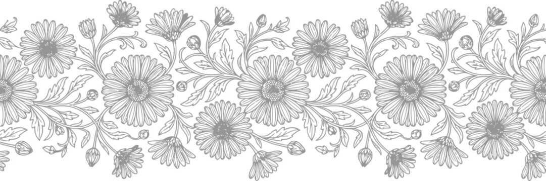 Vintage calendula flower seamless border vector, hand drawn botanical line art, grey floral pattern for wedding decor