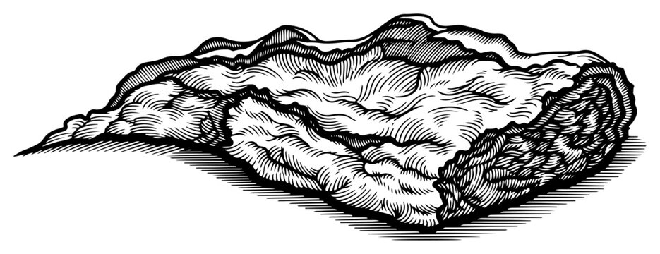 Folded meat piece with organic texture in vintage engraving style