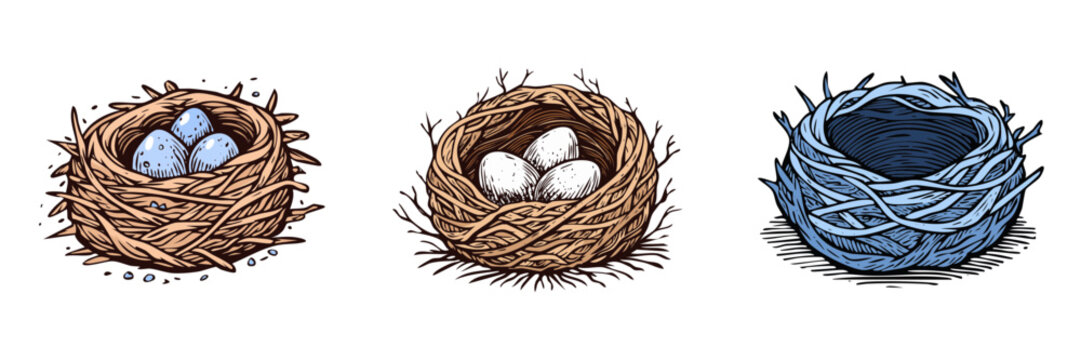 Set of bird nests with eggs and empty nest illustration