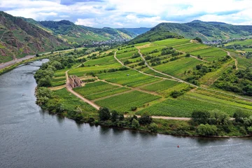 Luftaufnahme der Klosterruine Stuben inmitten von grünen Weinbergen an einer Flusskehre der Mosel bei Bremm an einem bewölkten Sommertag. © fotoping