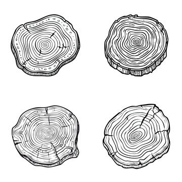 Set of textured tree rings wood slice illustrations with visible growth patterns and cracks