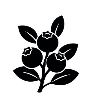 Blueberry branch icon. Blueberry, berry, branch, leaf, fruit. Bilberry, harvest, jam, healthy, antioxidant. Flat vector illustration isolated on white background.