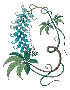 Decorative floral element with blue wisteria blossoms and elegant green swirling vine leaves