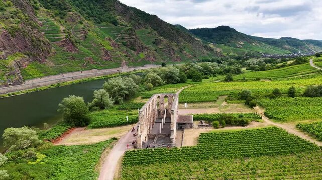 Detailreiche Drohnenaufnahme der historischen Klosterruine Stuben bei Bremm, umgeben von gr&uuml;nen Weinbergen mit Ausfl&uuml;glern und Fahrr&auml;dern auf dem Vorplatz.
