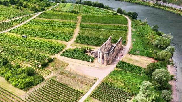 Detailreiche Drohnenaufnahme der historischen Klosterruine Stuben bei Bremm, umgeben von gr&uuml;nen Weinbergen mit Ausfl&uuml;glern und Fahrr&auml;dern auf dem Vorplatz.